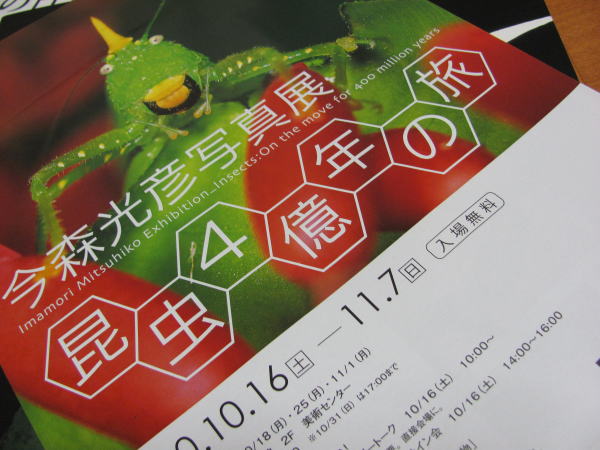 昆虫4億年の旅