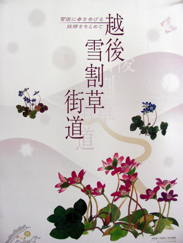 越後雪割草街道